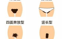 女生私密形状跟什么有关,探寻影响女性私密部位的神秘因素